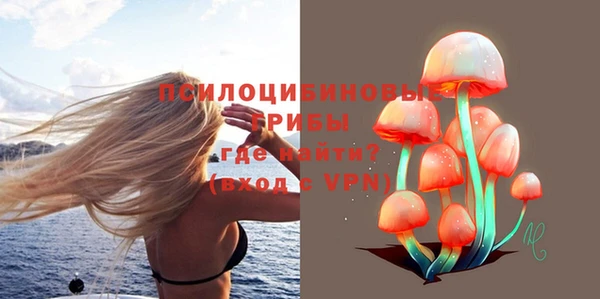 2c-b Алексин