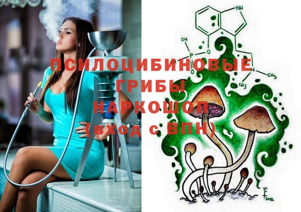 стаф Алзамай